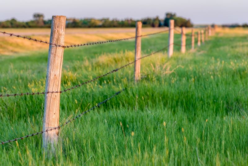 Sheep Fence Installation